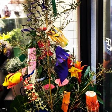 店内の七夕飾り 花屋ブログ 神奈川県茅ヶ崎市の花屋 はなおか生花店にフラワーギフトはお任せください 当店は 安心と信頼の花 キューピット加盟店です 花キューピットタウン