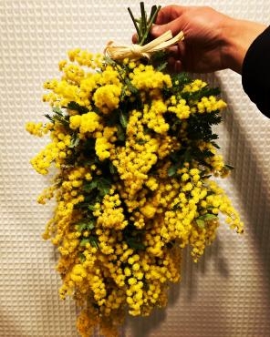 ミモザのスワッグ 花屋ブログ 神奈川県茅ヶ崎市の花屋 はなおか生花 店にフラワーギフトはお任せください 当店は 安心と信頼の花キューピット加盟店です 花キューピットタウン